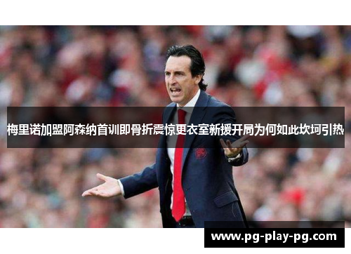 梅里诺加盟阿森纳首训即骨折震惊更衣室新援开局为何如此坎坷引热