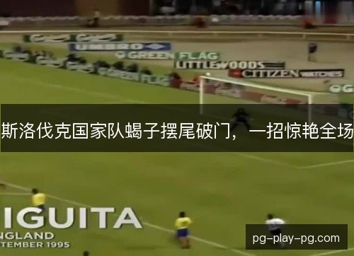 斯洛伐克国家队蝎子摆尾破门,一招惊艳全场 斯洛伐克国家队蝎子摆尾破门,一招惊艳全场
